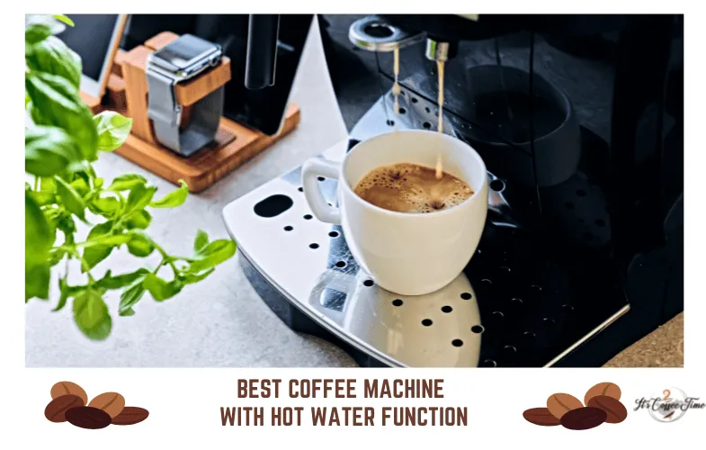 Cuisinart Coffee Maker Water Stuck in Filter: Easiest Ways to Fix It